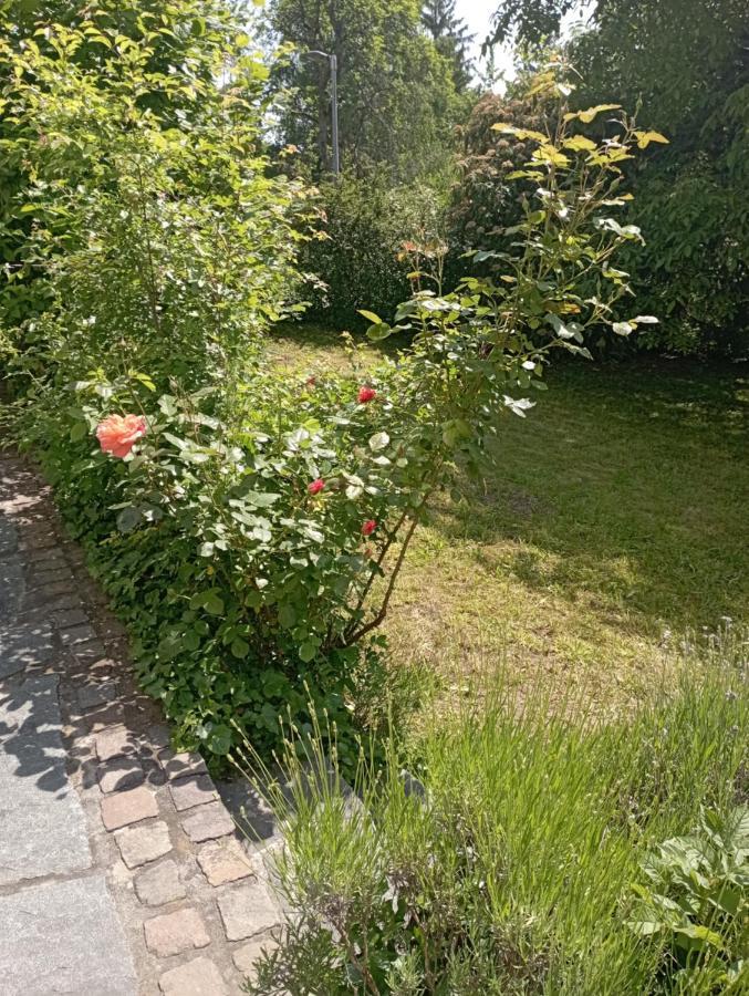 Apartament Obergeschoss - Katharina Von Berg Rottweil Zewnętrze zdjęcie